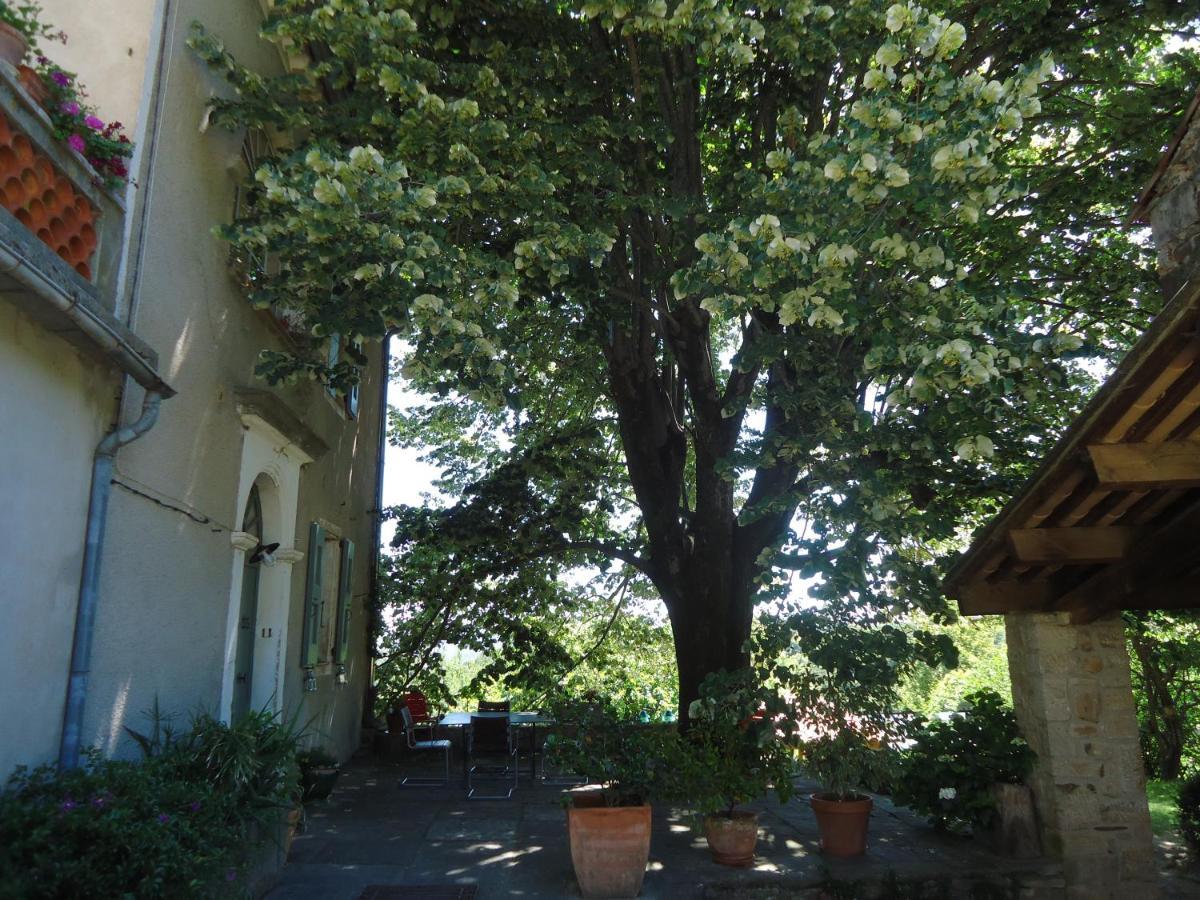 Le Vieux Tilleul Banne Zewnętrze zdjęcie